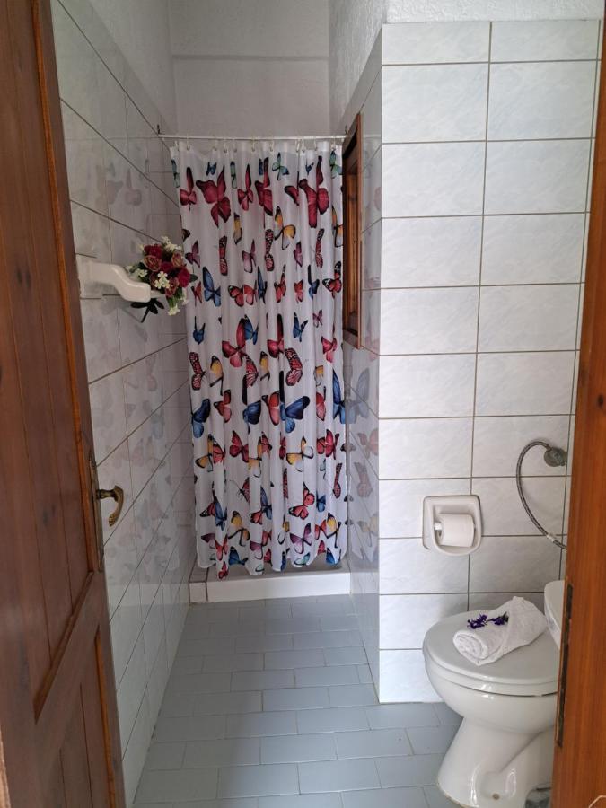 Stella Apartments Malia ภายนอก รูปภาพ